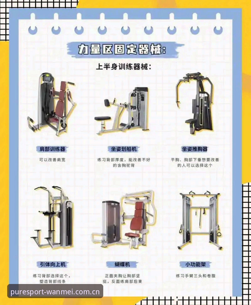 完美体育正式版必备的5个核心功能与使用指南